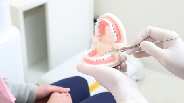 歯科医師が歯列模型を使って矯正治療の適応症例を説明している様子